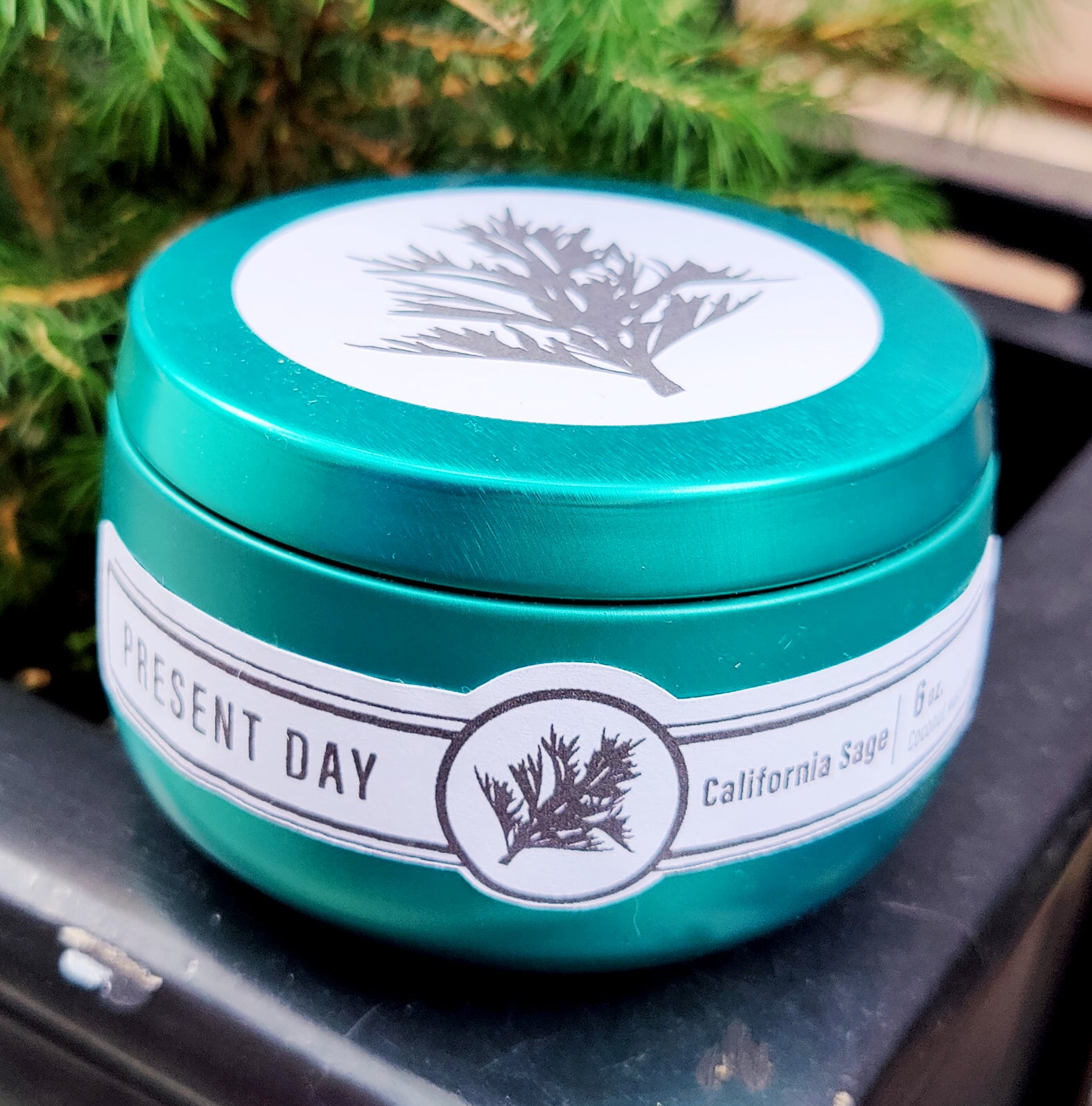 California Sage 6 oz. Scented Candle Gift Tin