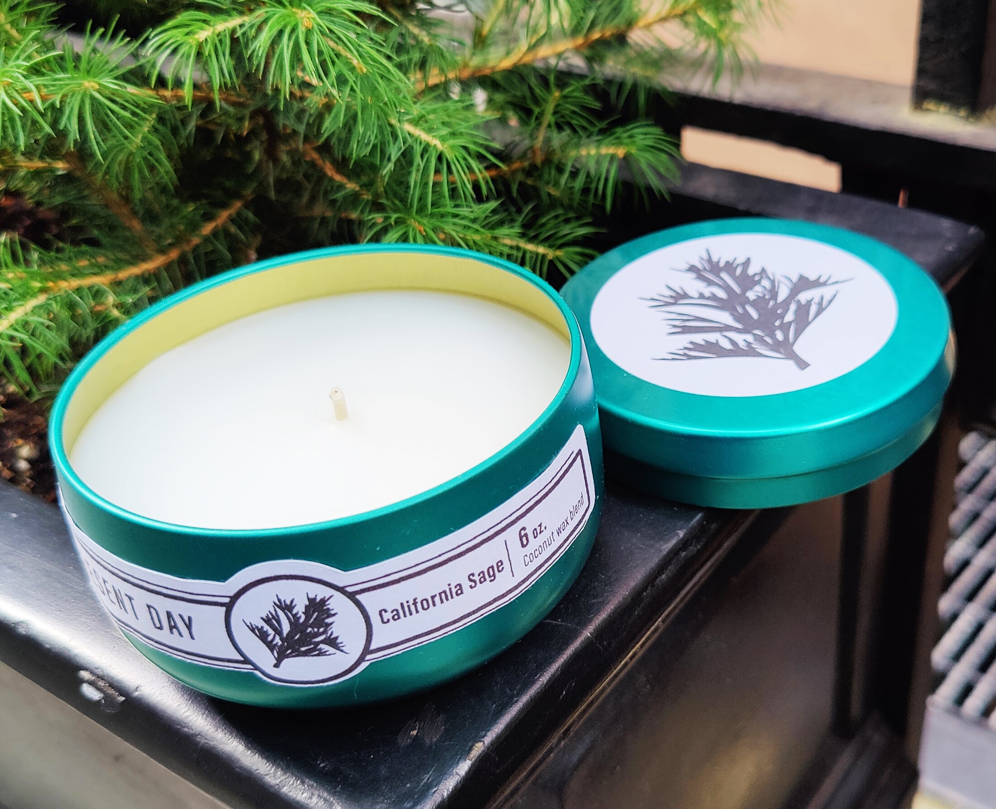 California Sage 6 oz. Scented Candle Gift Tin