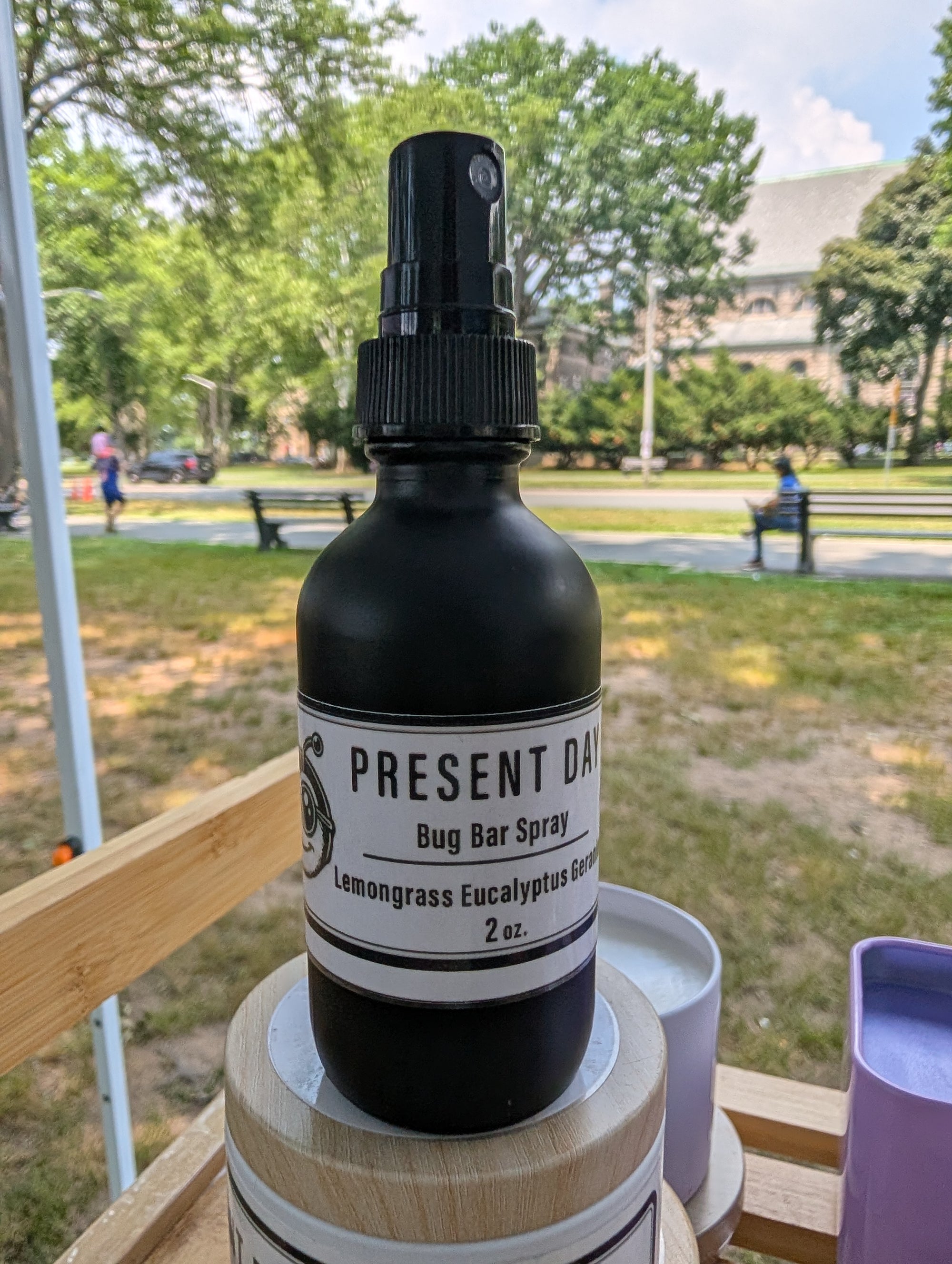 Bug spray bottle labeled 'Present Day' on a wooden surface with a park in the background