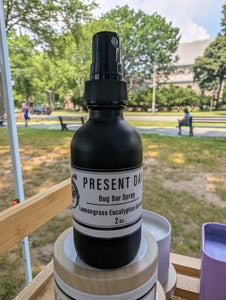 Bug spray bottle labeled 'Present Day' on a wooden surface with a park in the background