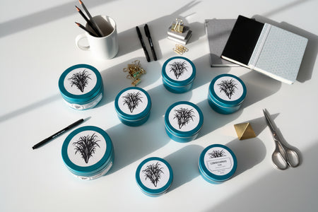 Two small containers with blue lids featuring black plant illustrations on a light gray background.